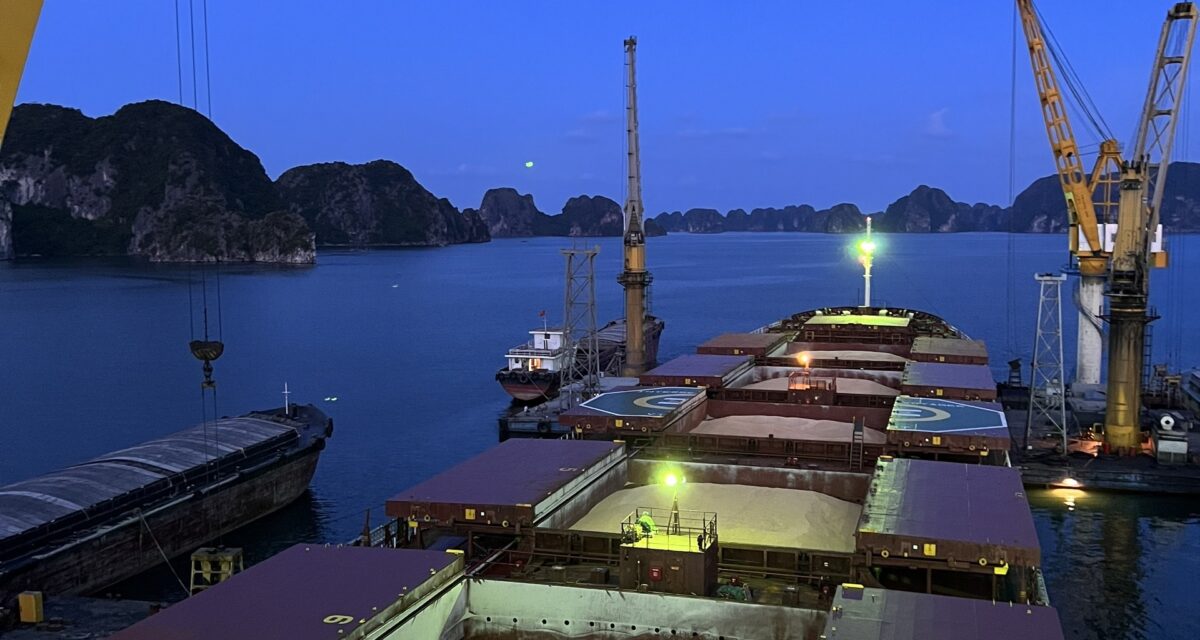 Reliable Shipping for Bulk & Project Cargo