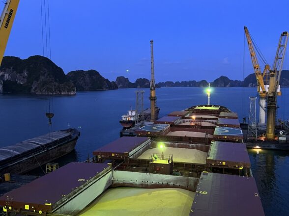 Reliable Shipping for Bulk & Project Cargo
